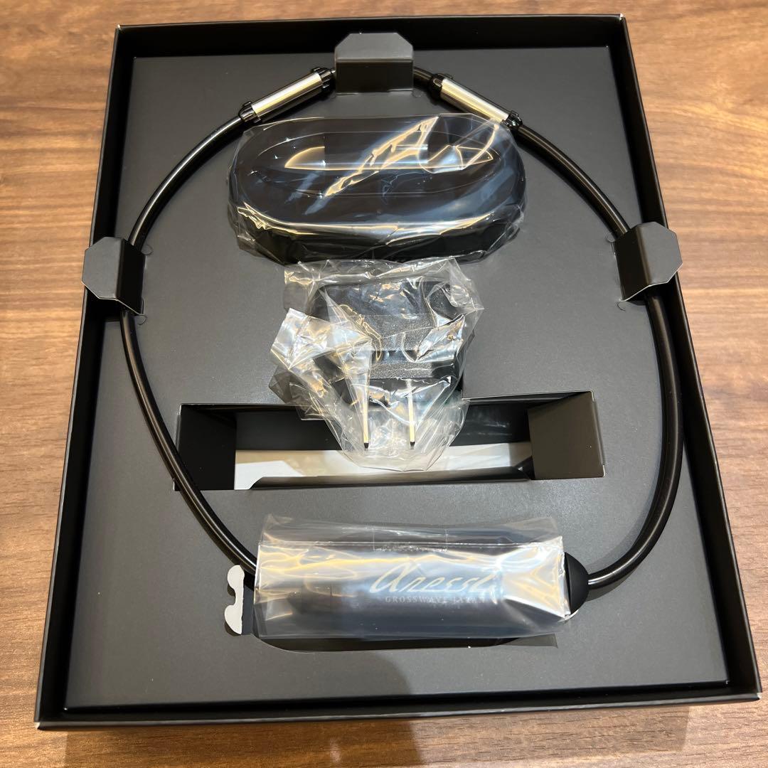 売り切り！ラスト1点　定価33万　2025年最新モデル　新品　アルファネス2 アルファネス2正規取扱店＞ 美容と健康をサポートする株式会社ジェイ