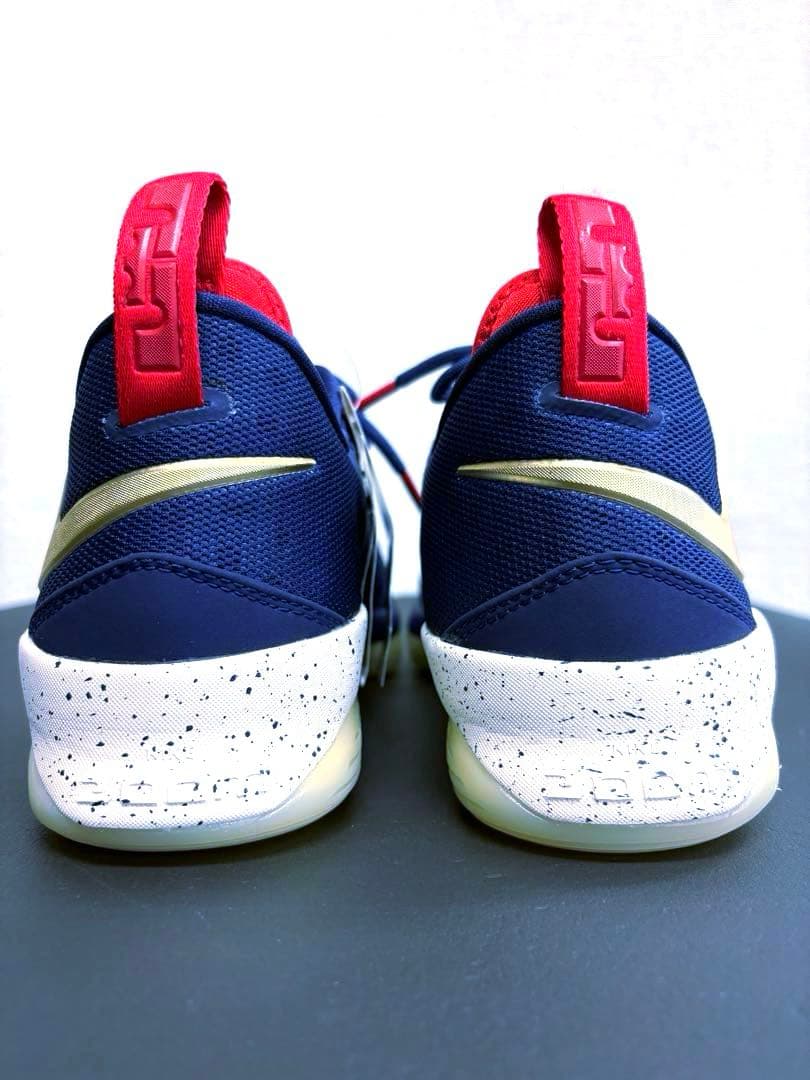 シューズ(男性用) NIKE LEBRON XIV LOW EP \"USA\" 28cm