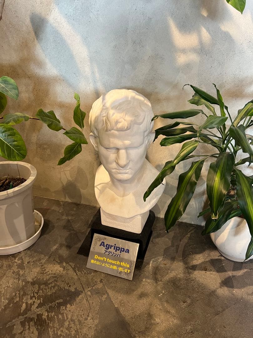 ラナ　アメリカのナンバープレートコレクション 1960】在独米軍(アメリカ軍) ライセンス プレート《ナンバープレート