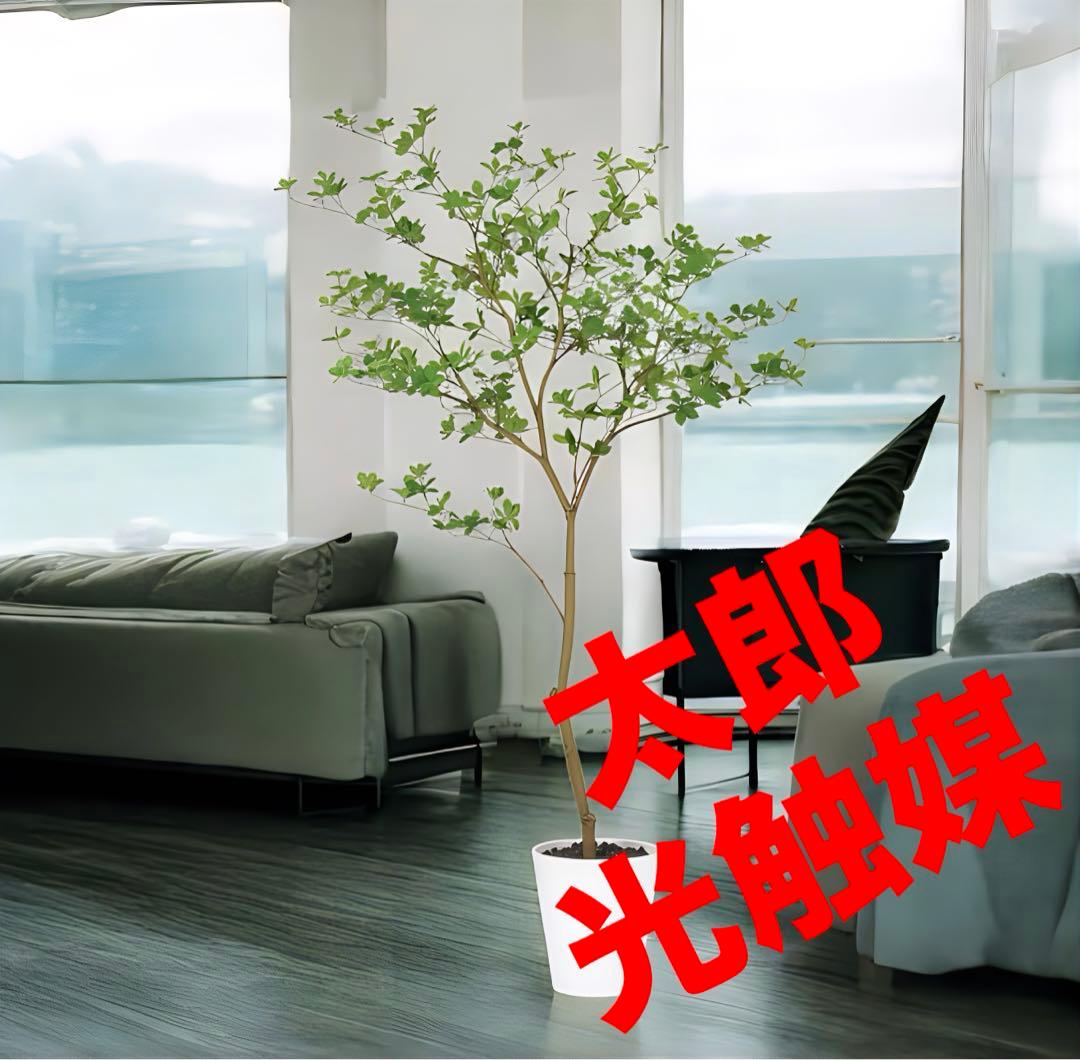 光触媒　人工観葉植物　ウォールグリーン　フェイクグリーン　ドウダンツツジ FST ドウダンツツジ 190cm - フェイクグリーン専用通販サイト – フェイク