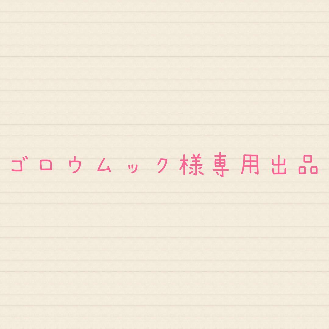 ゴロウムック出品 Vakuum Men Top GTX® [ 291531 ] @ MEINDL マインドル | ミヤコ