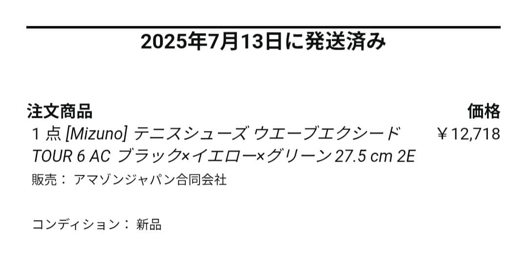 ミズノ ウエーブエクシード ツアー 6 AC 27.5cm