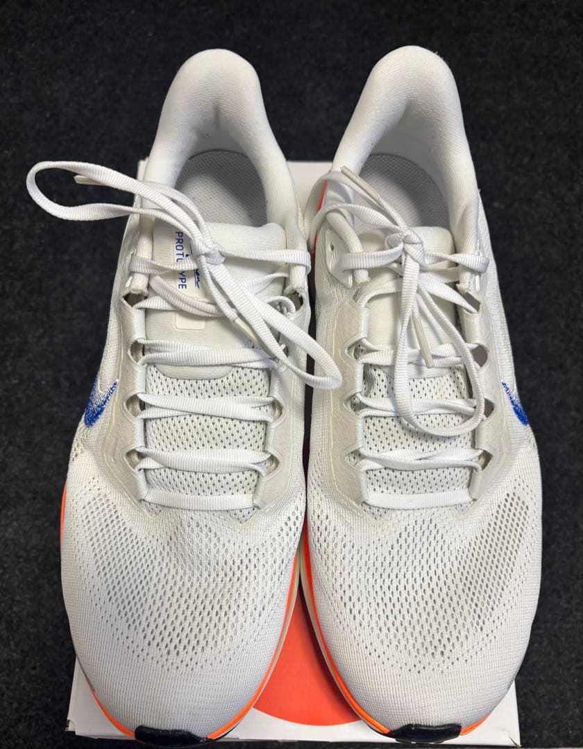 Nike ペガサス 41 ブループリント 極美品【28.0cm】Pegasus