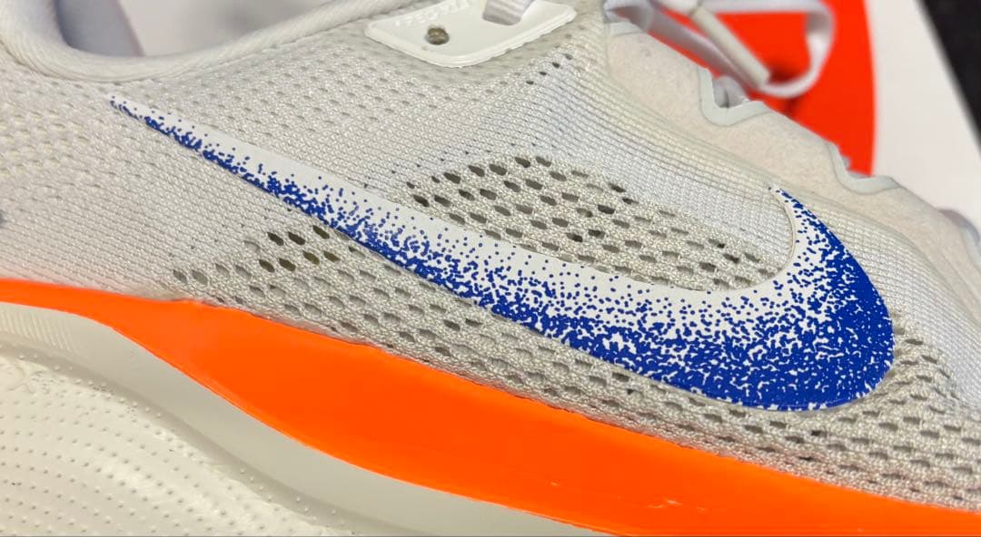 Nike ペガサス 41 ブループリント 極美品【28.0cm】Pegasus