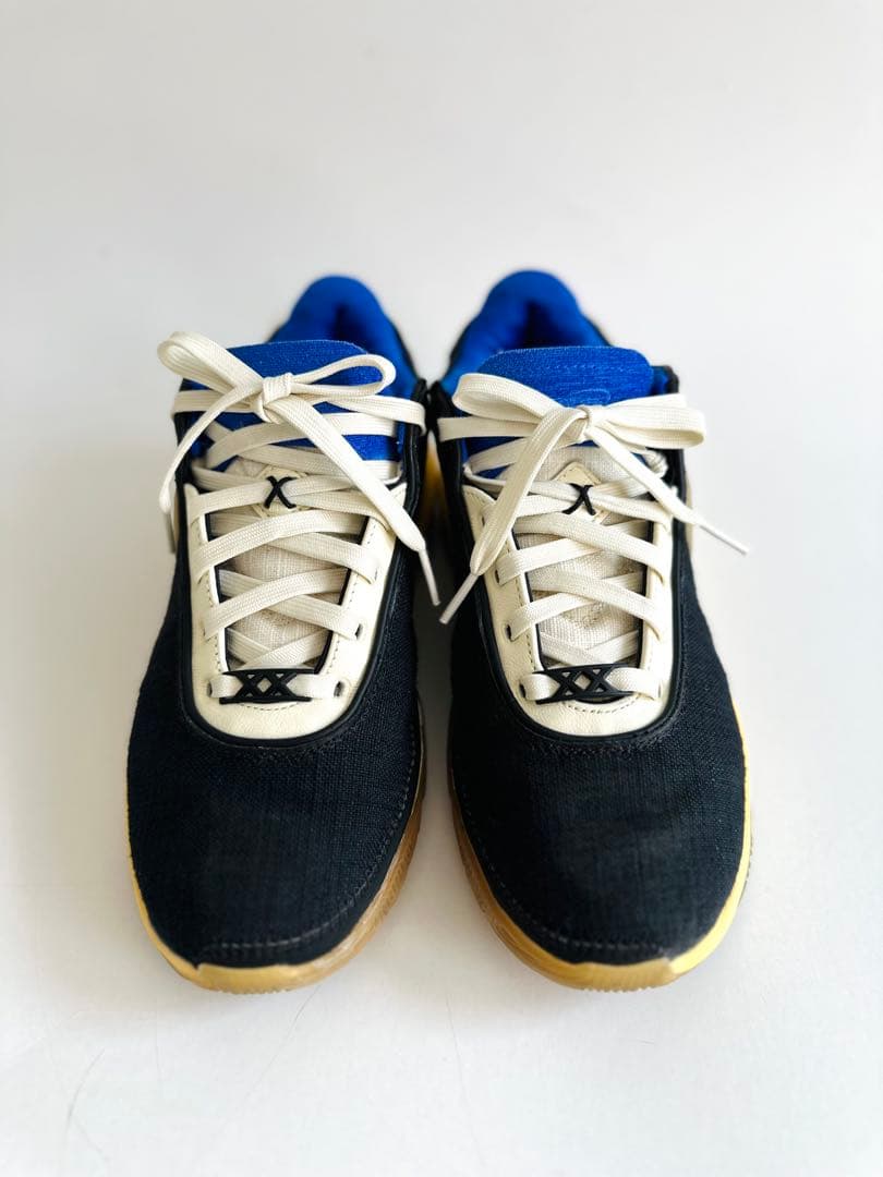 シューズ(男性用) Nike LEBRON XX UN EP 24.5cm