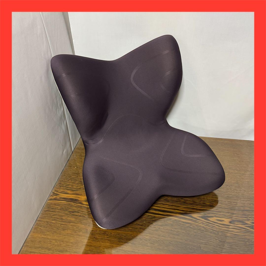 MTG Style PREMIUM 姿勢矯正 骨盤サポートチェア　② Amazon.co.jp: スタイル プレミアム シリーズ/Style PREMIUM Series