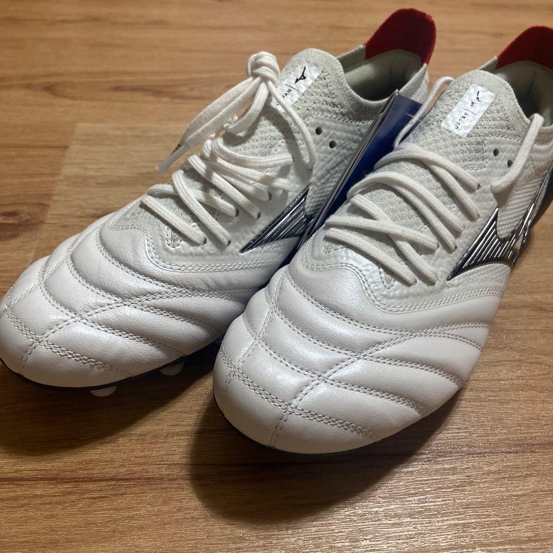 Mizunoモレリアネオ 24.5cm