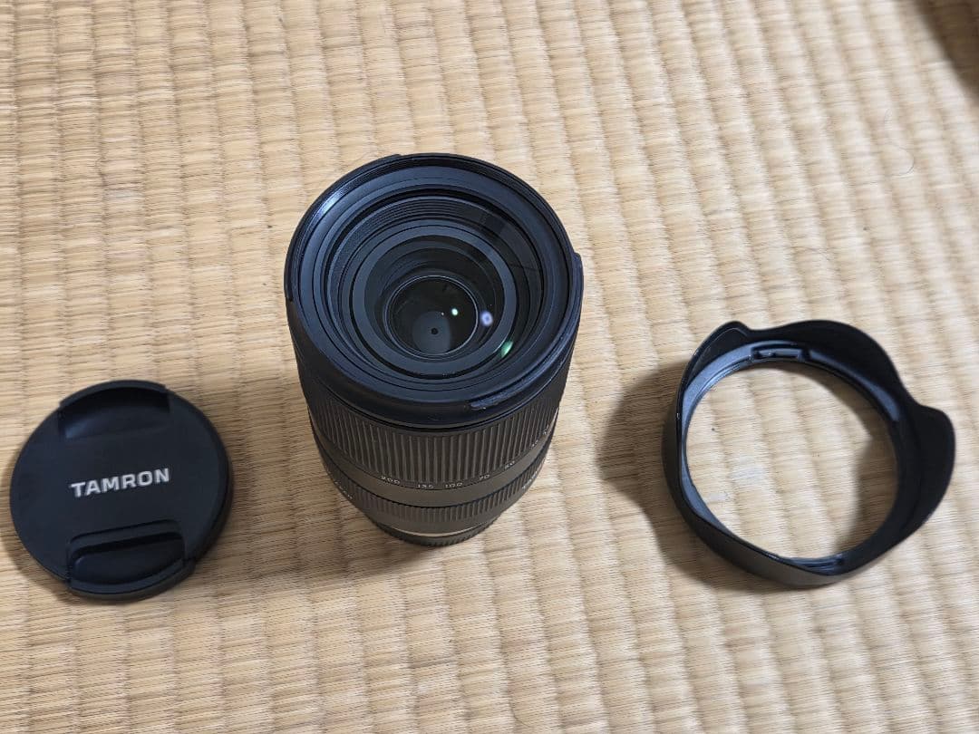 レンズ(ズーム) TAMRON 28-200 カメラレンズ 28-200mm F/2.8-5.6 Di III RXD（Model A071S） [ソニーE