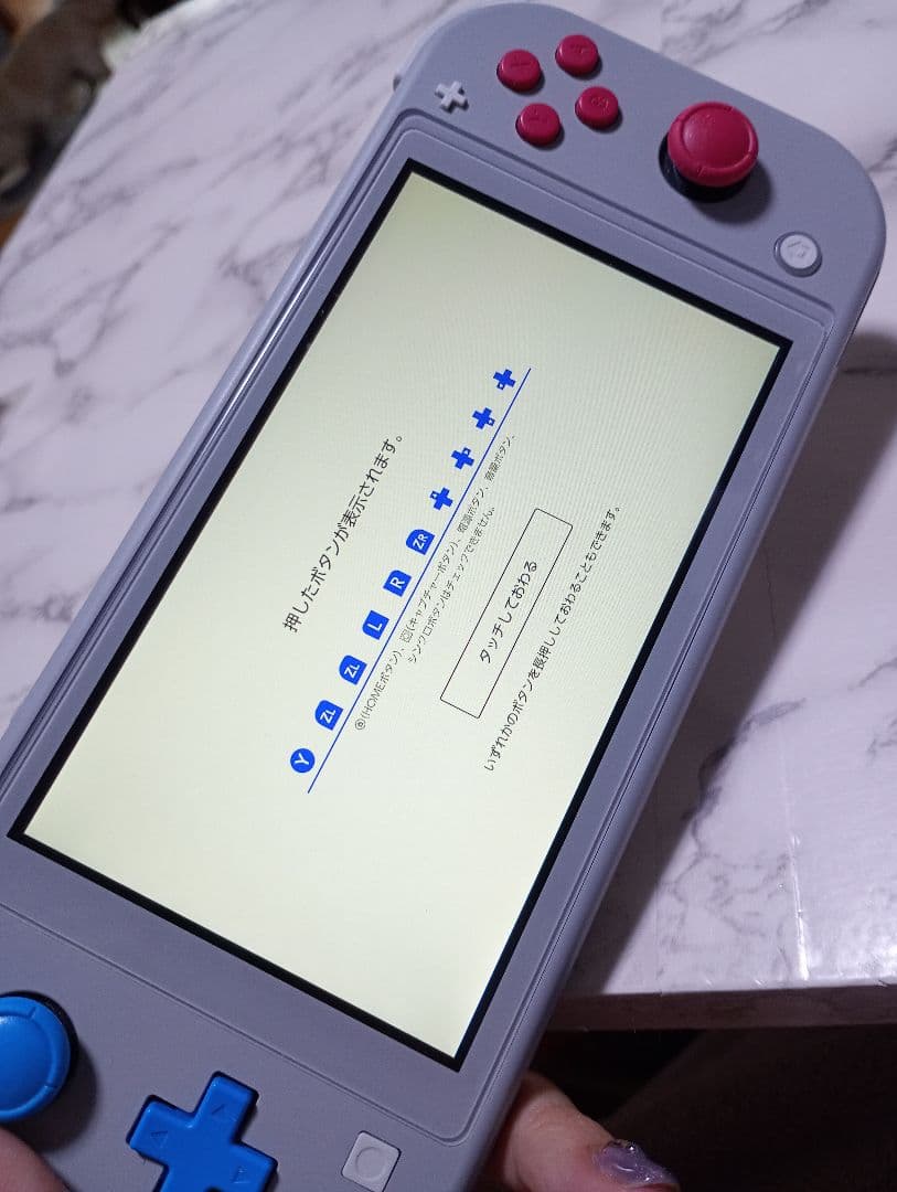 Nintendo Switch Lite グレー ポケモン - Nintendo Switch最新