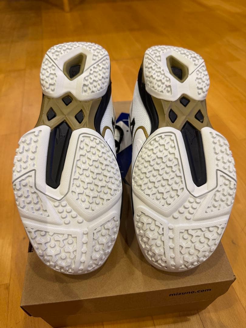 Mizuno テニスシューズ ウェーブエクシード　ライト2 25.5cm