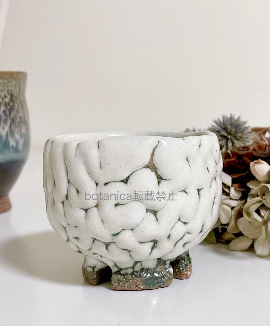 もみの木 まつぼっくり 厳選中型 100個 クリスマスリース、あるいは