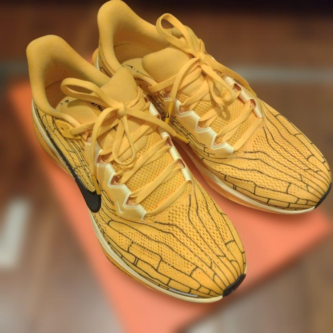 美品　ナイキ　ペガサス41 LV8　27.5cm　マラソンシューズ