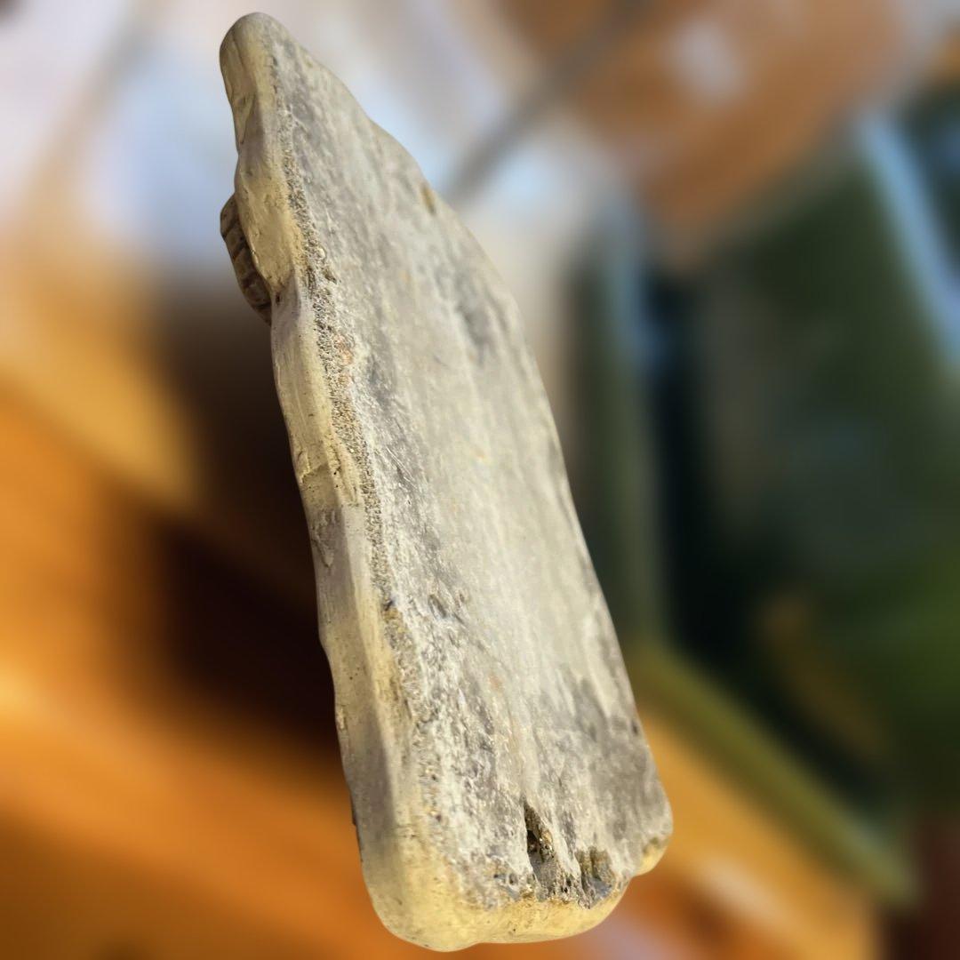 2015 wonderdecor イヤープレート - メルカリ