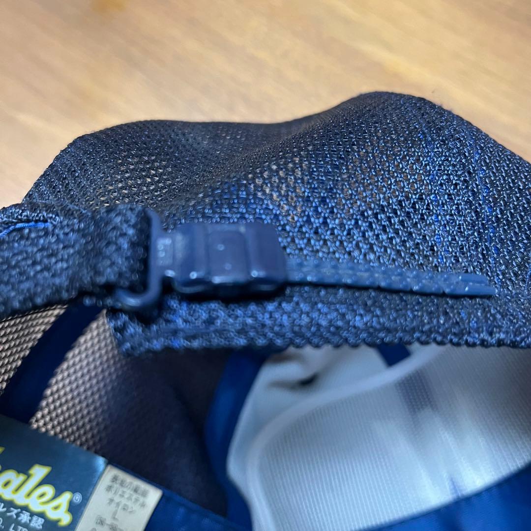 横浜大洋ホエールズ（ベイスターズ） 佐々木主浩選手 直筆サイン入り