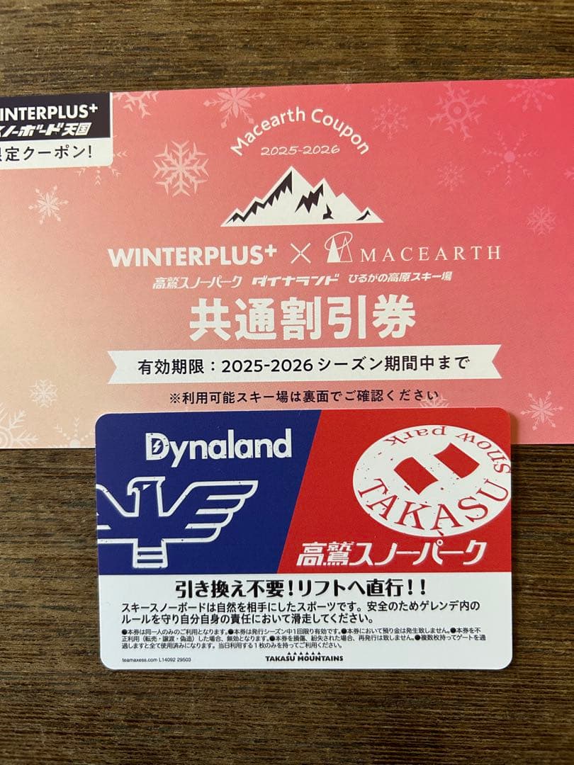高鷲スノーパーク ダイナランド共通リフト券 - メルカリ