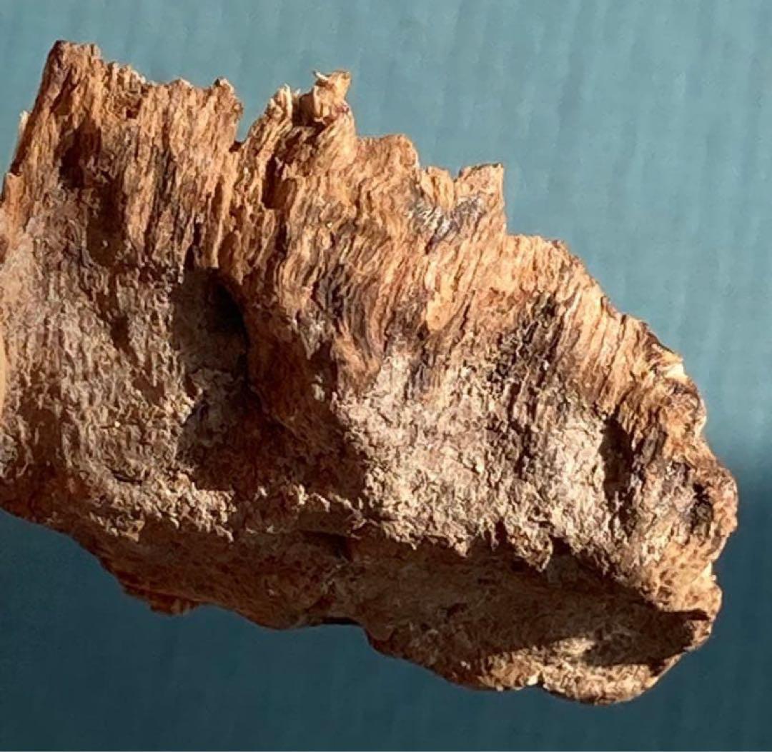 シャム　シャム沈香　沈香　天然沈香　香木 3.58g