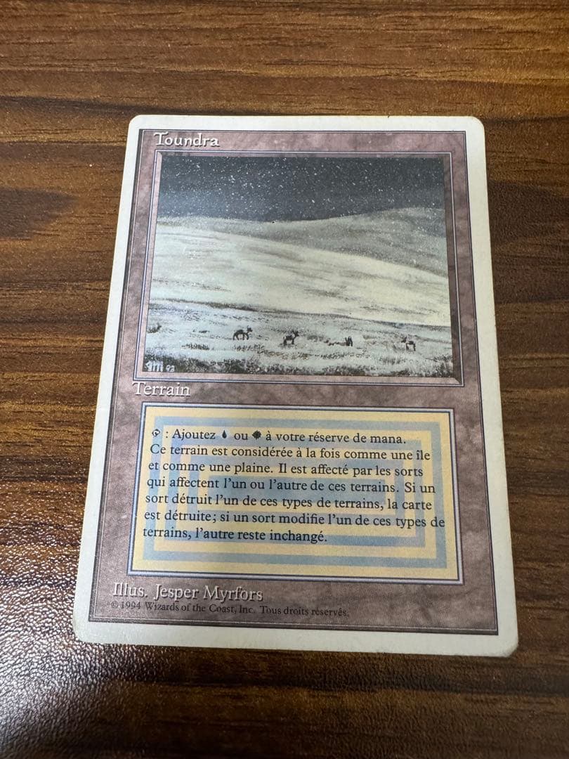 MTG tundra/Toundra フランス語版 Loups de la toundra (Tundra Wolves) · Renaissance (REN) #21