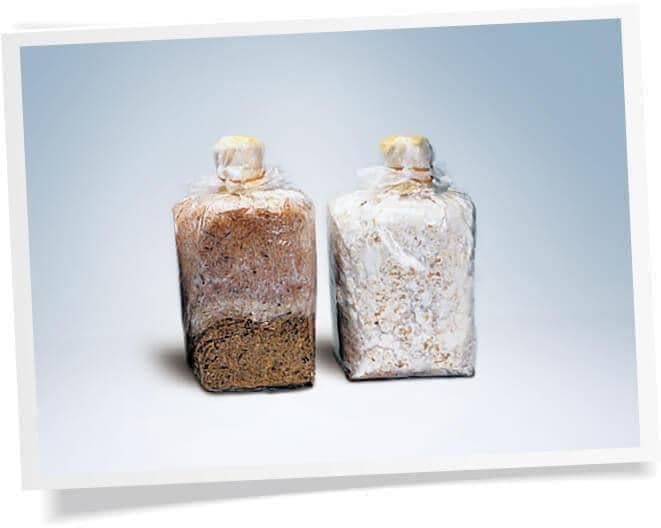 お得新商品オッペンアガリクス101α