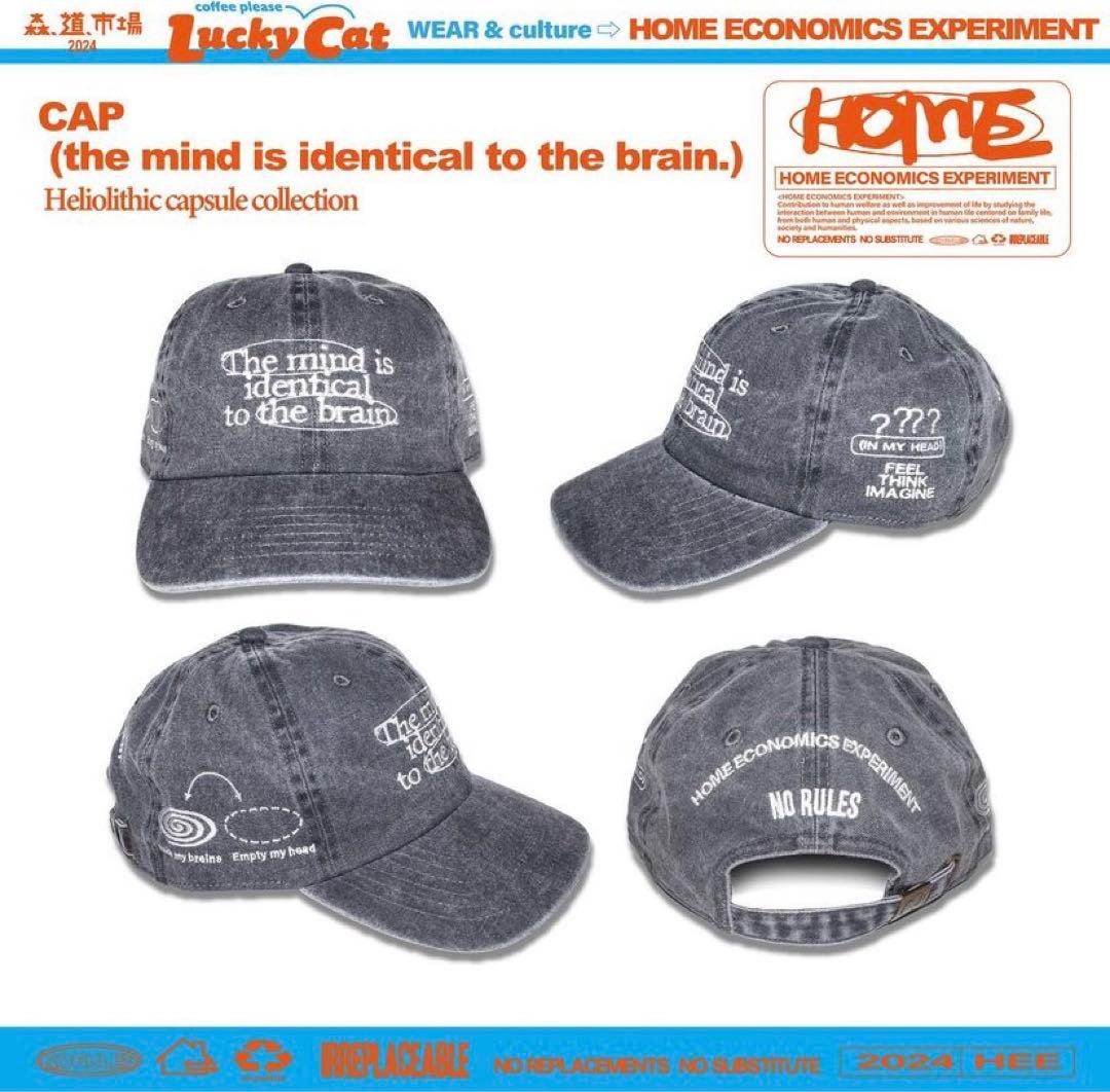 希少】HOME ECONOMICS EXPERIMENT cap キャップ - メルカリ