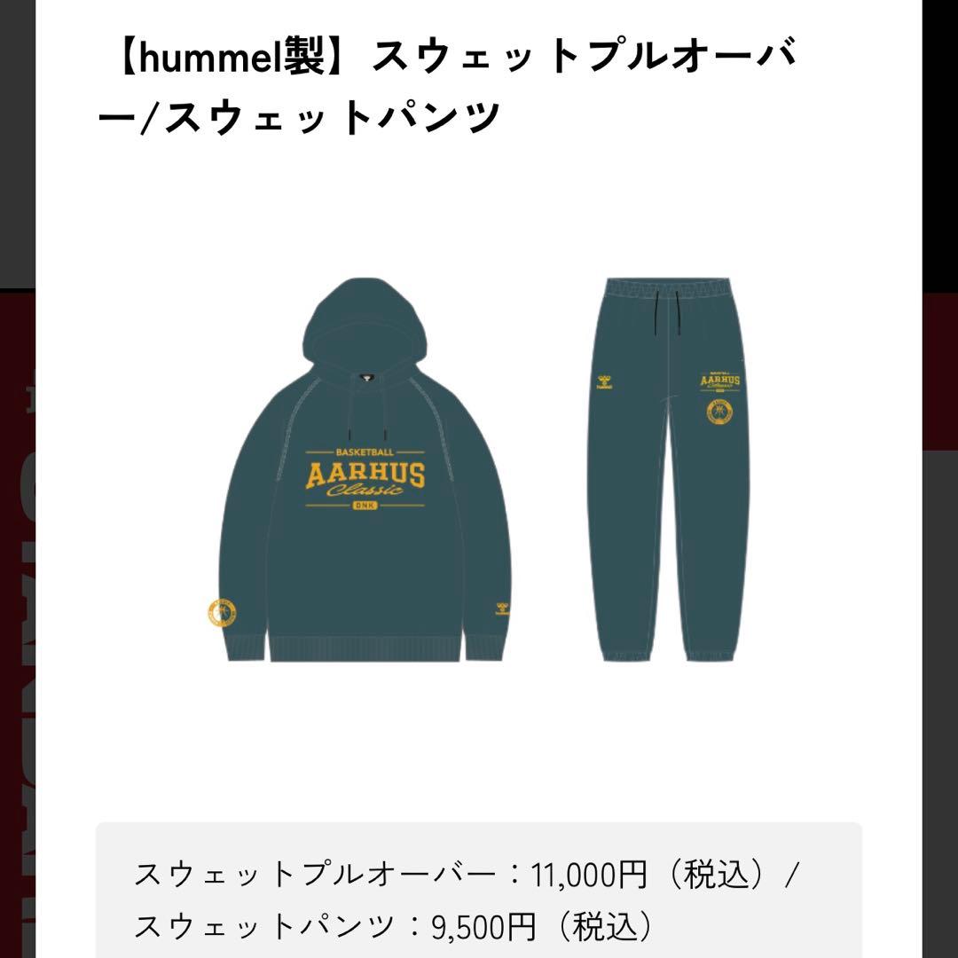 4【美品】hummel スウェットパーカー 名古屋ダイヤモンドドルフィンズ