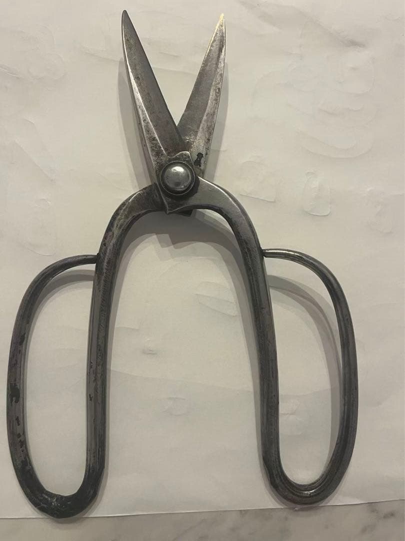 兼由丸 造園 青紙 植木鋏 剪定鋏　植木バサミ　約230mm 植木鋏 青紙 ネジ 90mm – amenomaオンラインショップ