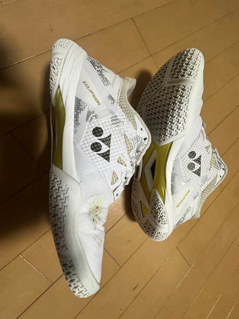 エクリプションZ 27.5cm