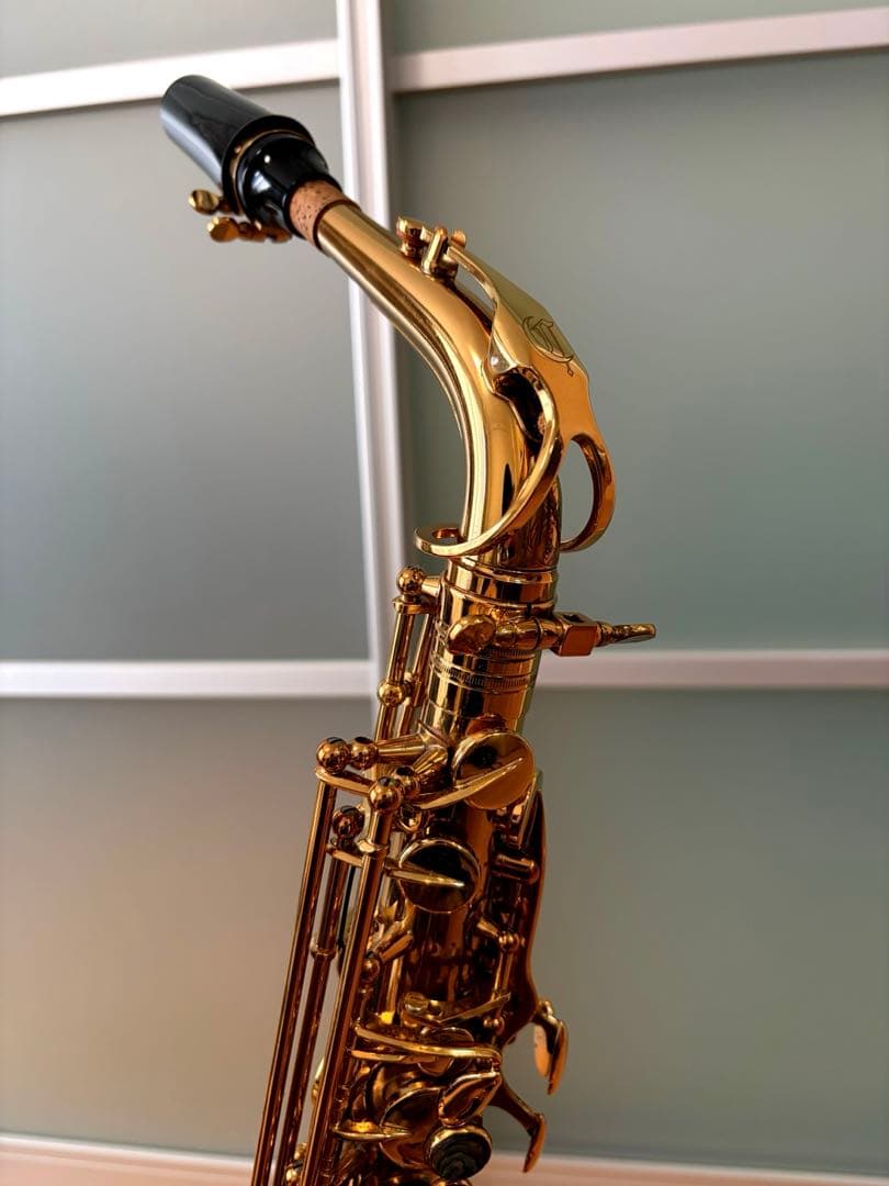 定価42越え】アルトサックス Cannonball AScep-L