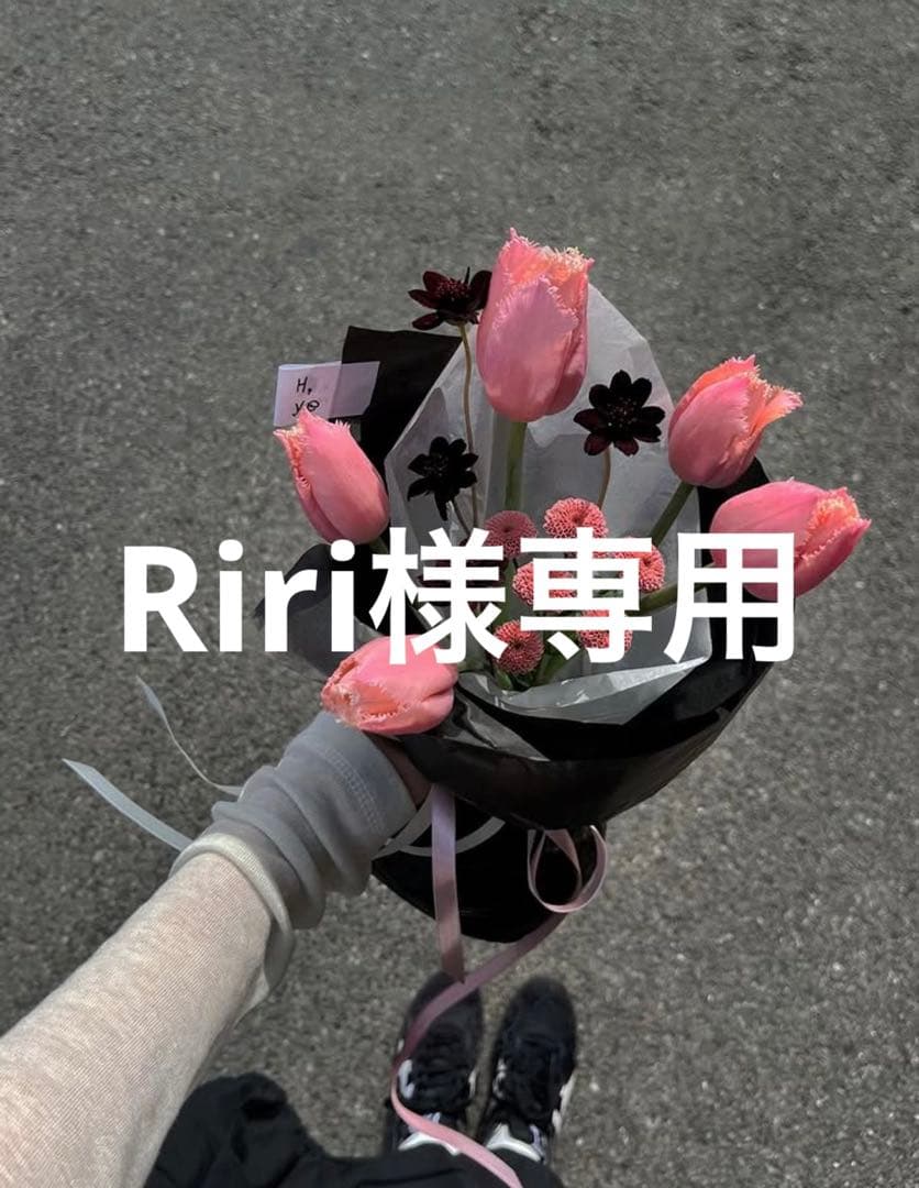花束・切花 Riri ユリ 切り花」の人気商品一覧 | 安い商品を通販サイトから探す - 価格.com