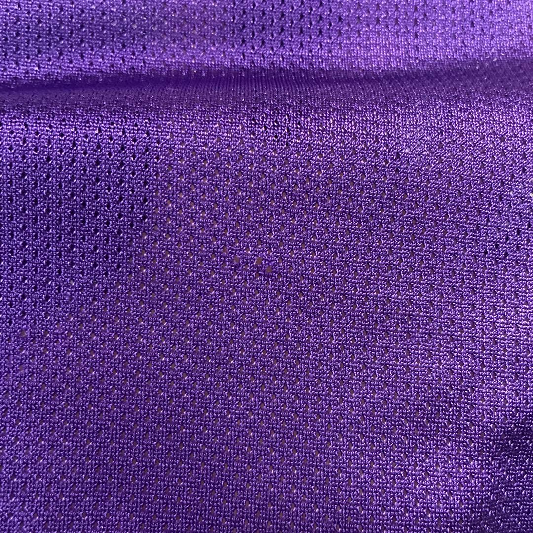 サクラメントキングス ジェイソンウィリアムス パープル チャンピオン