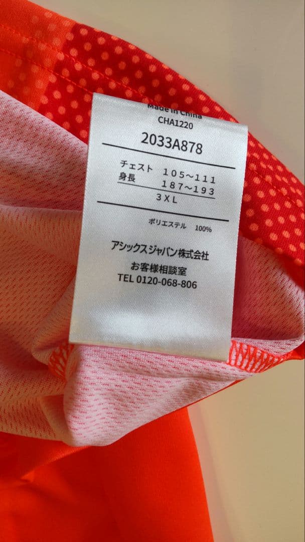 バレーボール東京オリパラ選手(古賀紗理那、島村春世、山田二千華