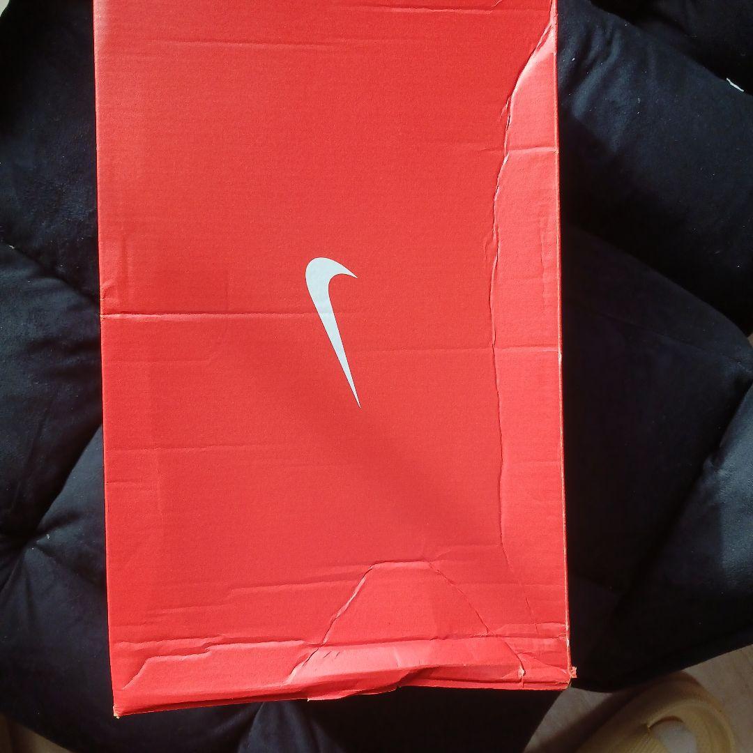 ナイキ テニスシューズ DR6191 -101