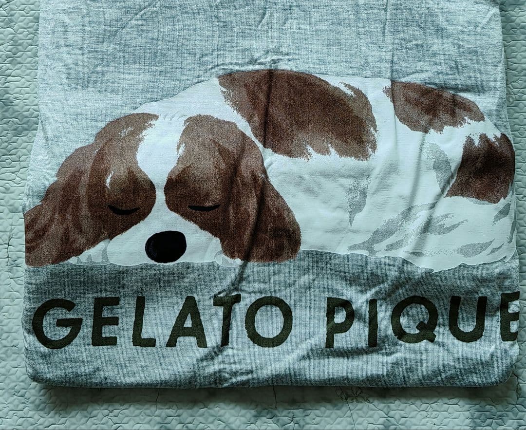 ジェラートピケ ルームウェア キャバリア上下セット 16-1 - メルカリ