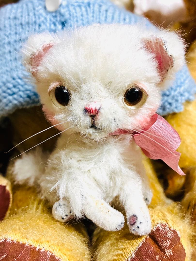 haco deco様 白い子猫 ぬいぐるみ 楽天市場】【ぬいぐるみ】ひざねこS 白オッドアイ : 家具倶楽部