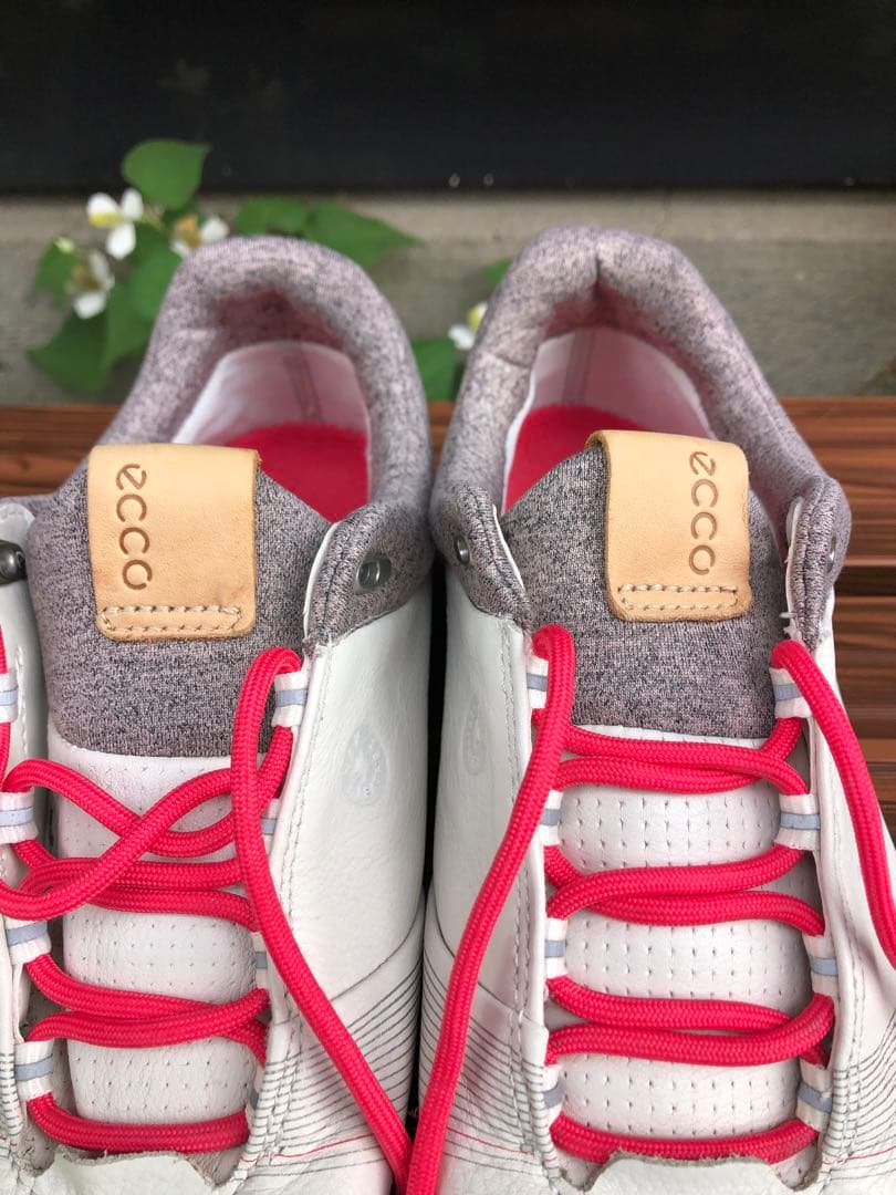 347番 美品ecco biom ゴルフシューズ38 24.0cmスパイクレス - メルカリ