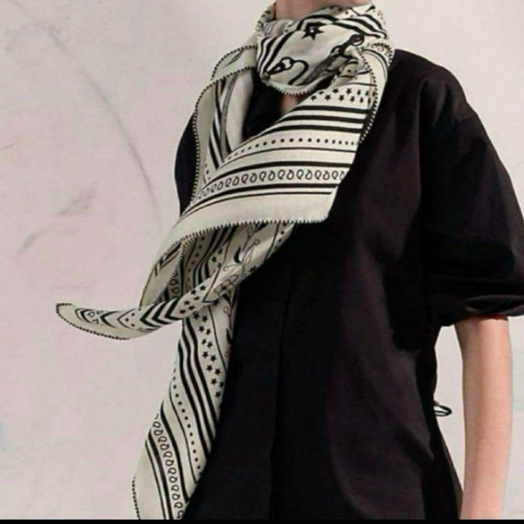 新品エルメスカシシルアマゾンの祭典