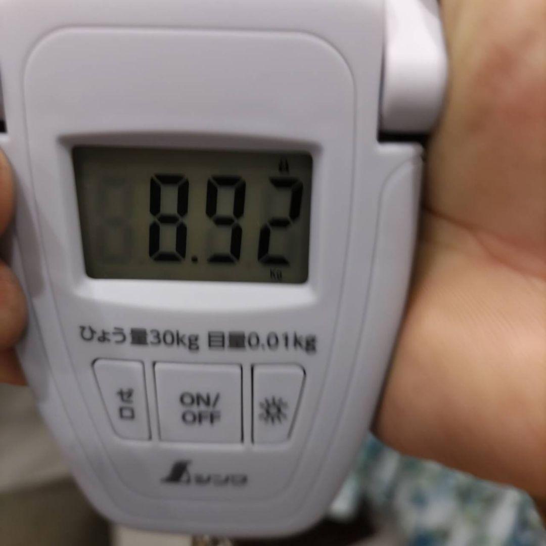 Anchor RS8 ELITE 105 8.92kg ロードバイク