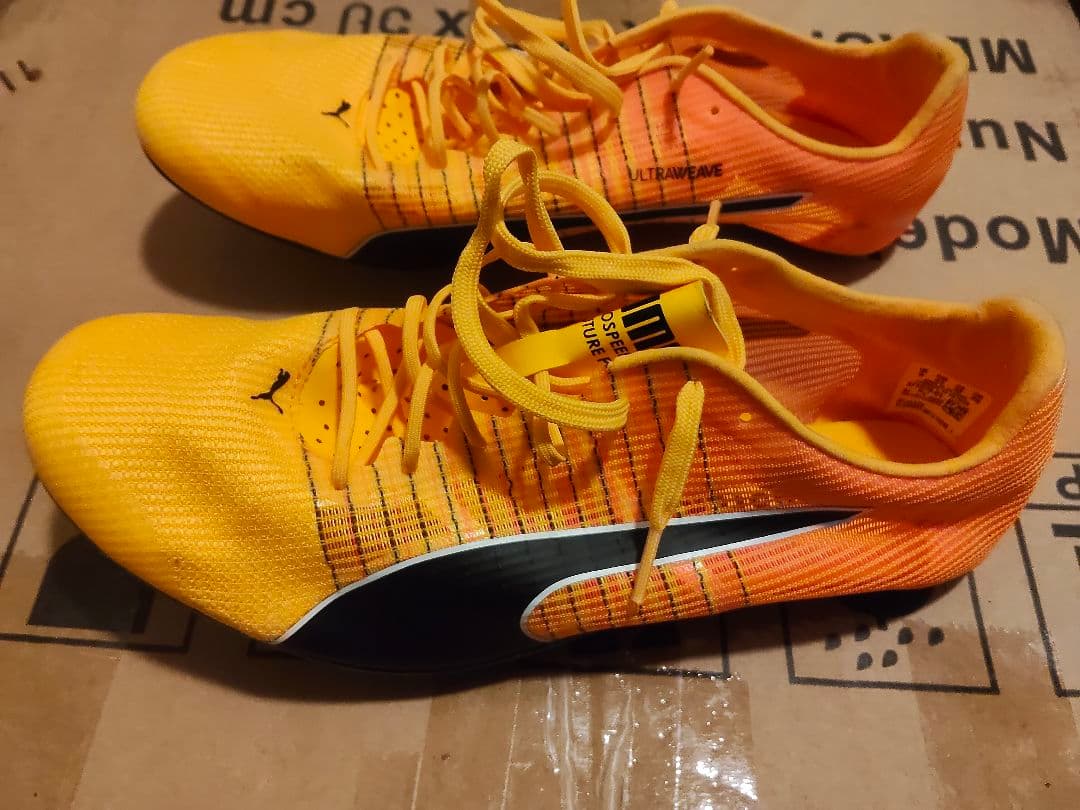 プーマ エヴォスピード フューチャー ファスター +4 28.0cm