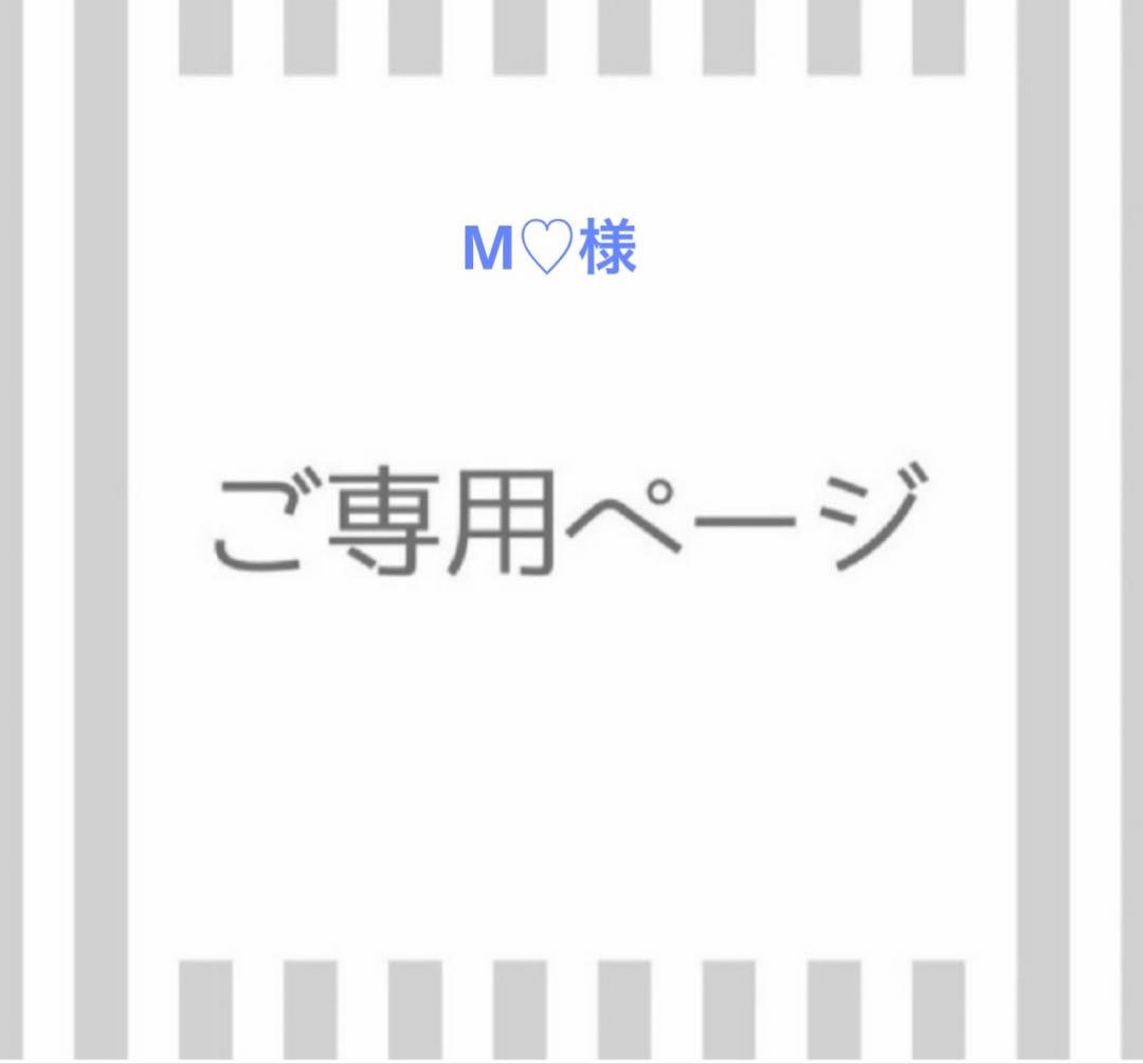 M♡ RBM ZX14 FLAT LINK (06-24)