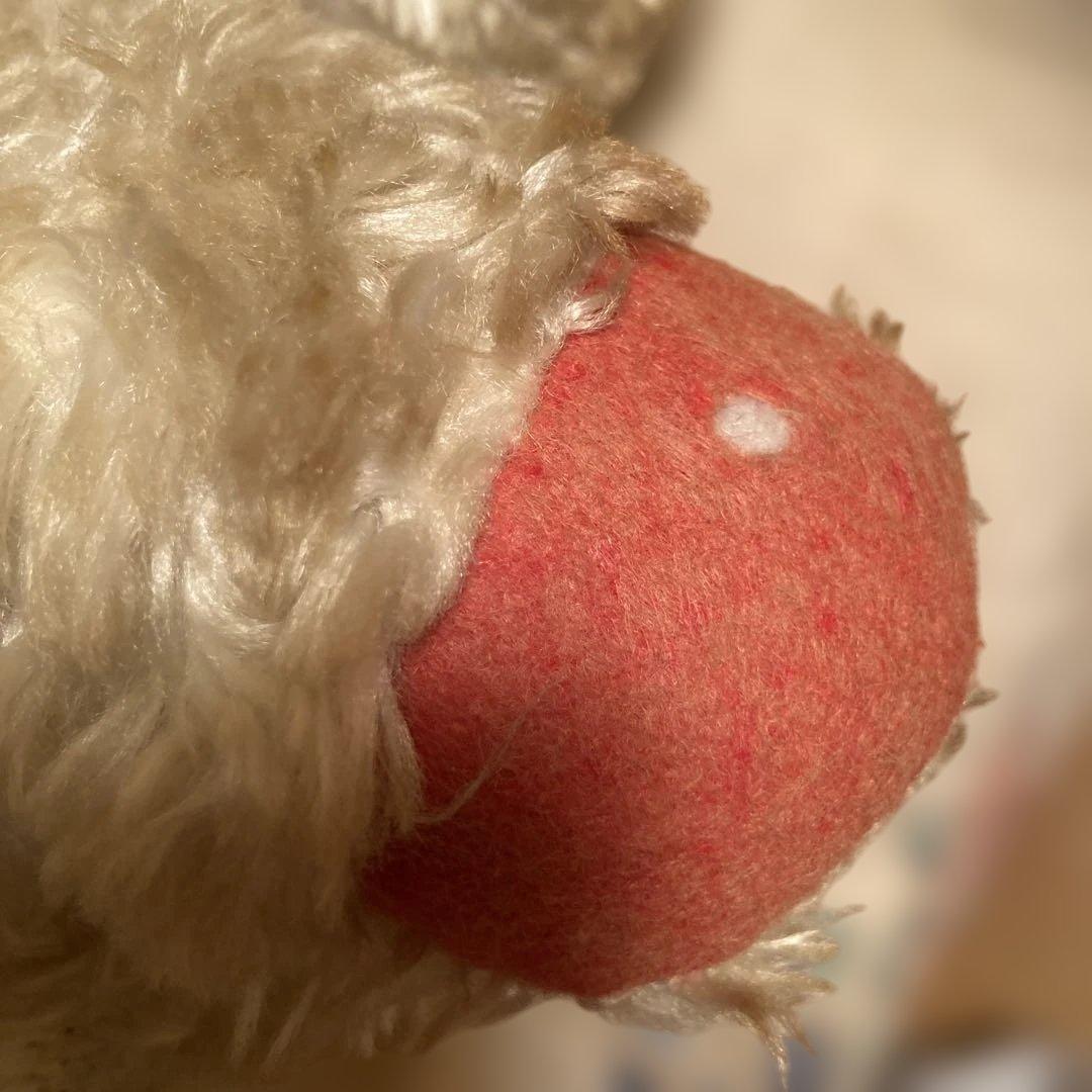 【ぺぺココ】巨大ラシュトン泣きべそベア