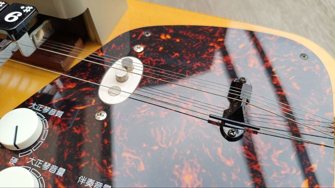 SUZUKI 大正琴 あゆ TES-151