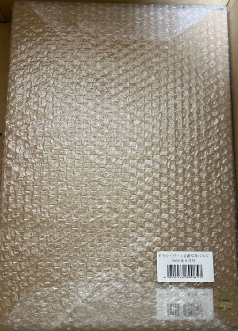 月刊タイガース表紙写真パネル 2025年8月号 阪神 才木浩人投手 才木