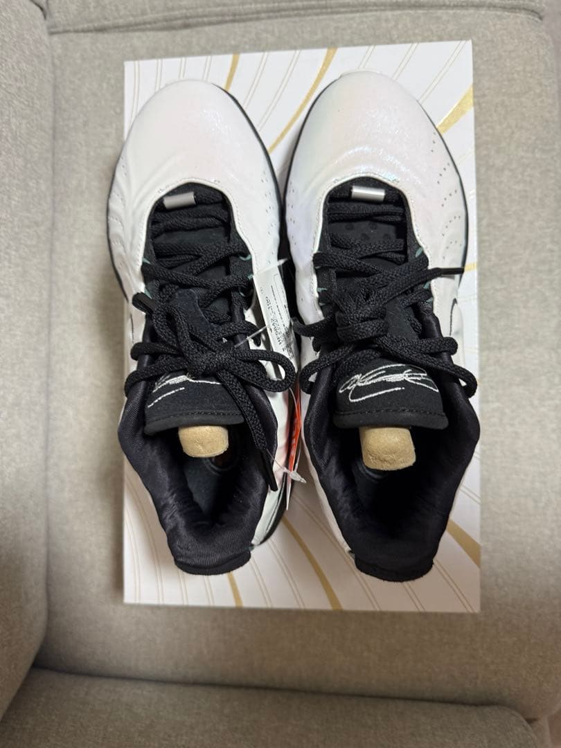 Nike LeBron ＸＸⅠ \"Conchiolin\" ナイキレブロン21