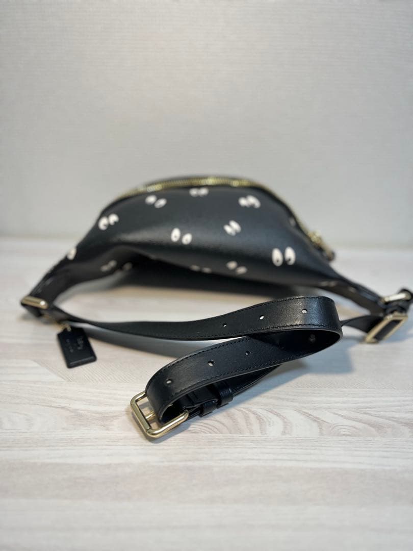 新品】COACH ×DISNEY 白雪姫 総柄 ウエストバッグ F72818 - メルカリ