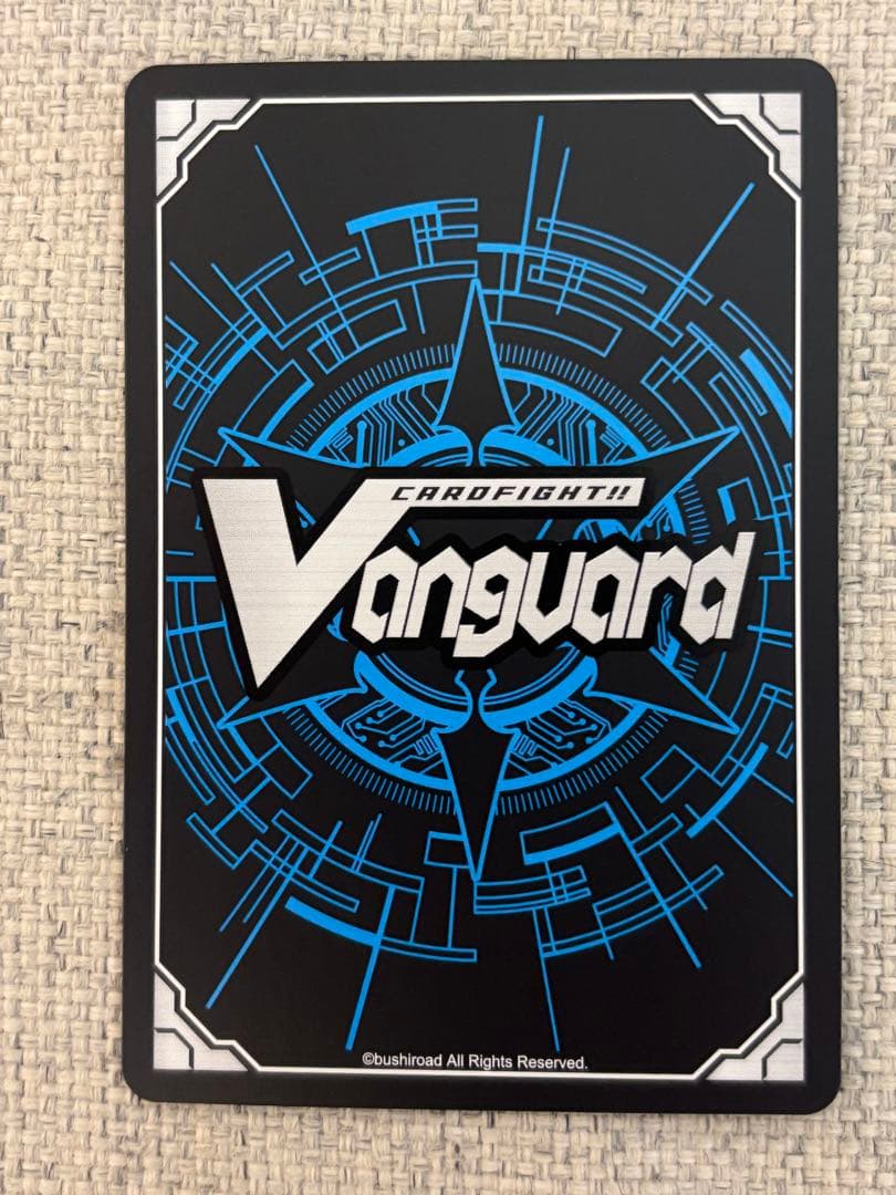 アクジキさんノごはん」アクジキさん ストレージャ ヴァンガード