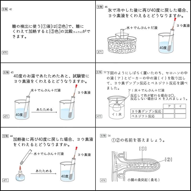 中学受験 暗記カード 理科 生物 サピックス 予習シリーズ コアプラス