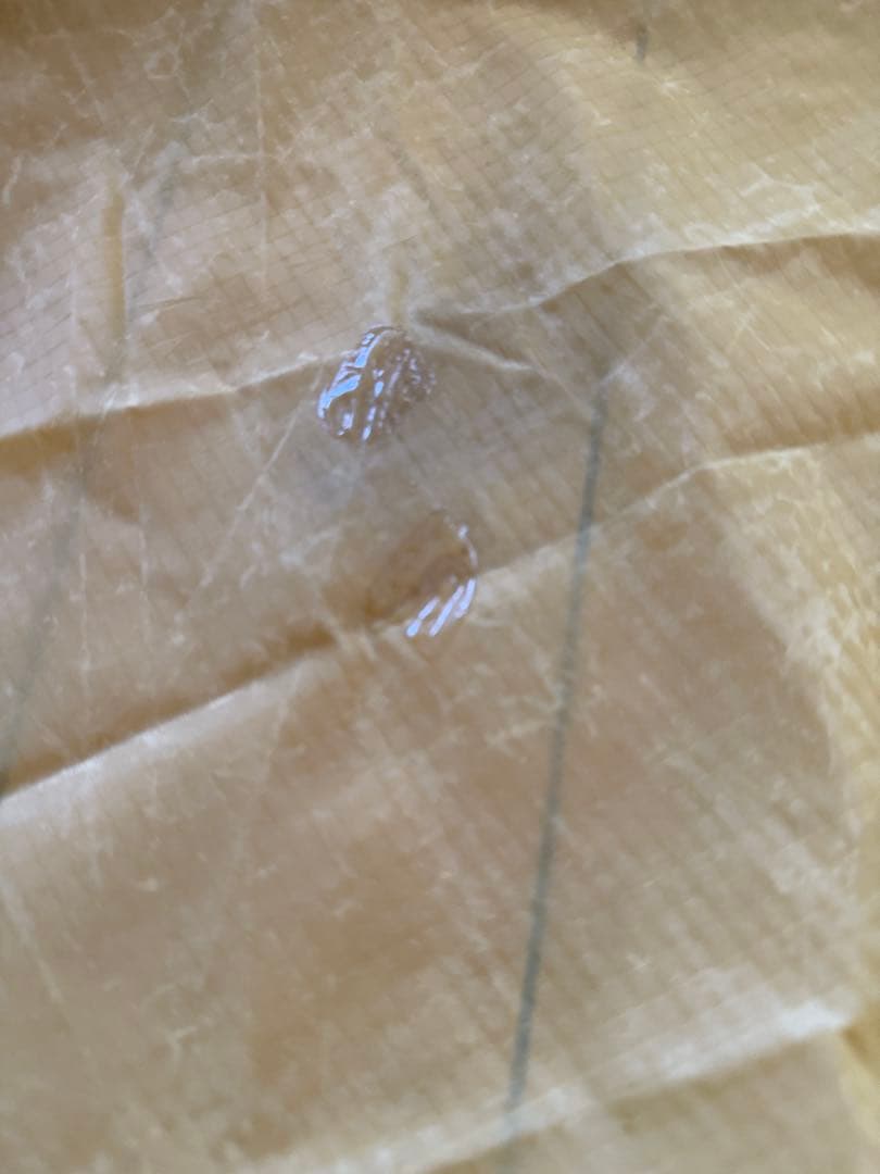 MSR ハバハバ　2008年版