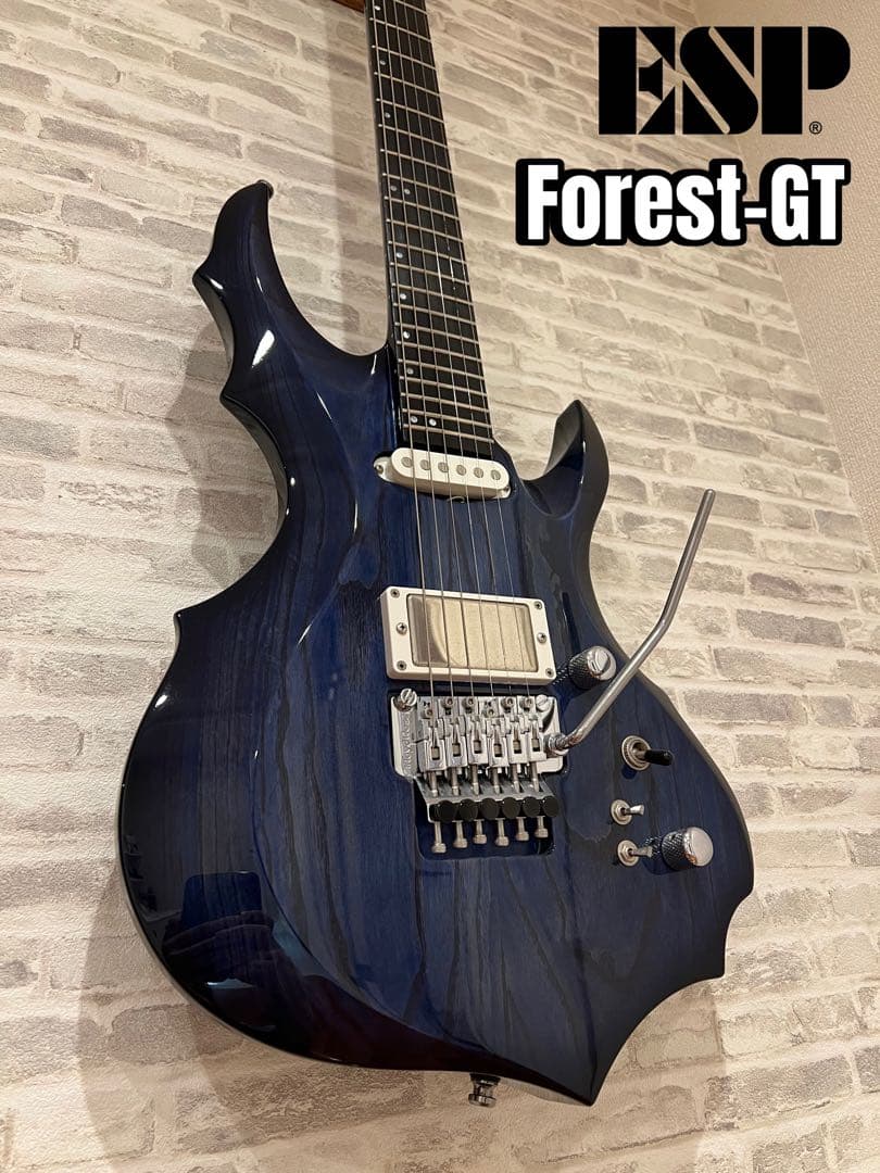 ESP Forest-GT フォレストギター 【7/31まで限定出品】 - メルカリ
