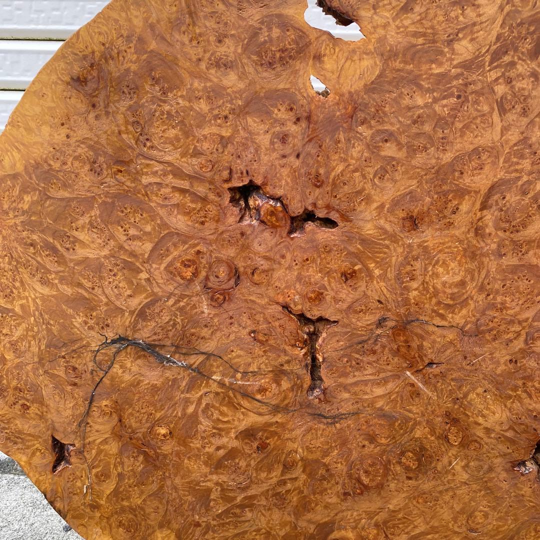 希少 玉杢 楓 瘤 衝立