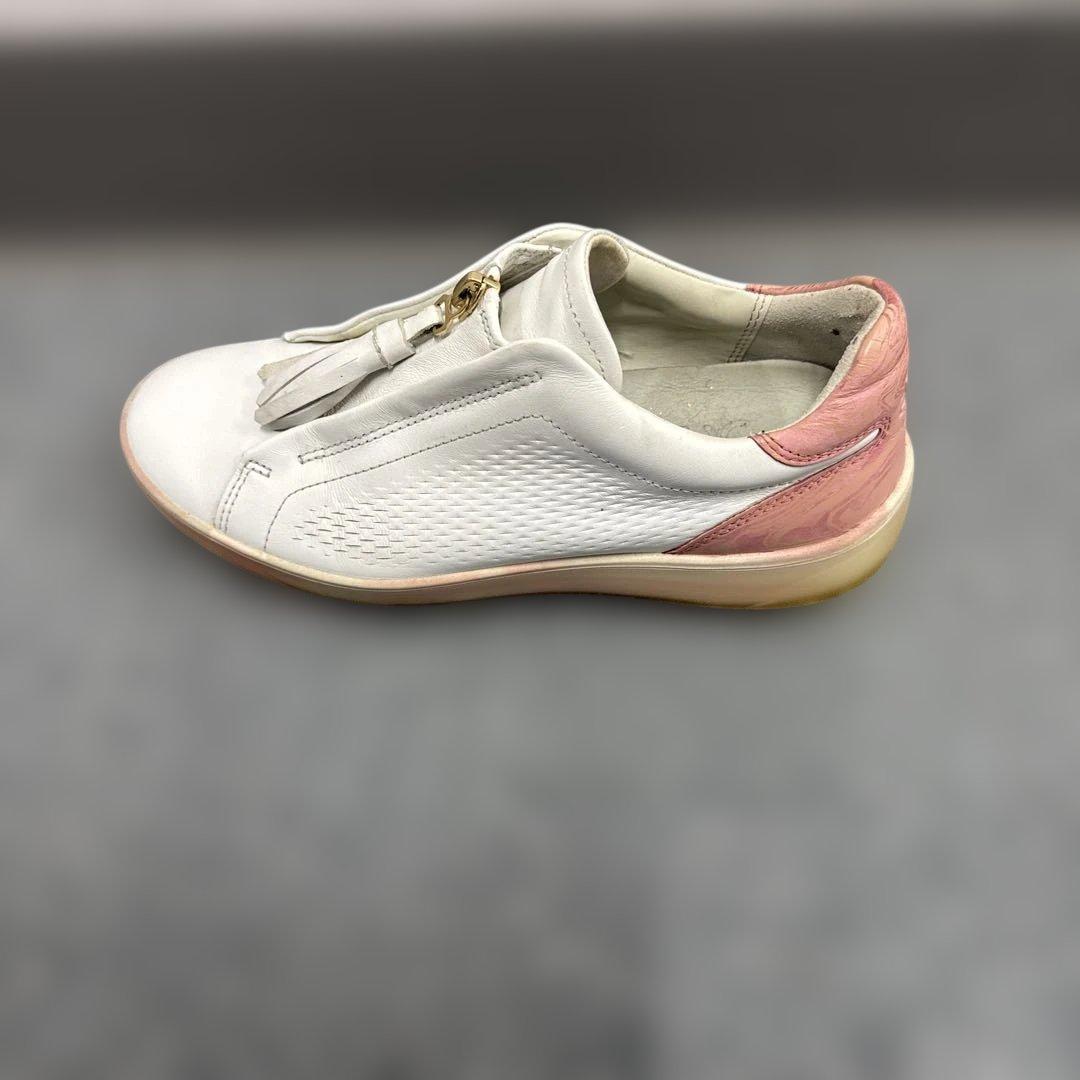 【限定】【希少】eccoゴルフ　22.5cm