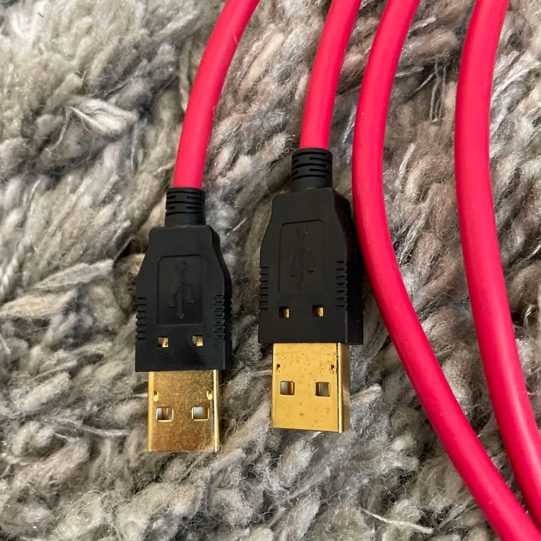 ACOUSTIC REVIVE 電源 信号完全分離型USBケーブル 1.0m